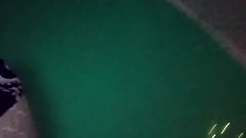 treemandude6867 online show from July 31, 2026, 1:05 am