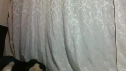 triana_bell online show from January 14, 2025, 2:40 am