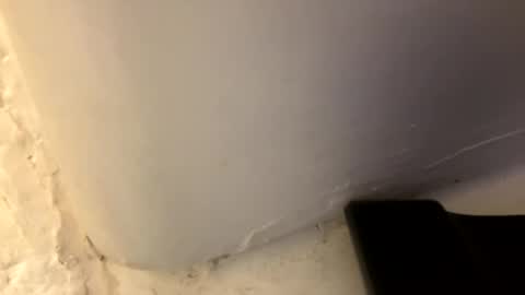 trickydick6 online show from April 26, 2026, 3:42 pm