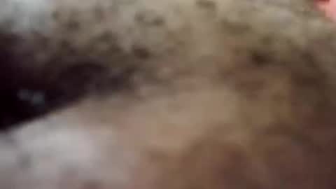 Antique-Shirt2516 online show from October 8, 2025, 9:34 pm