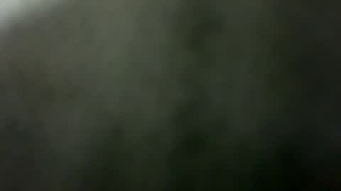 tripit1 online show from December 21, 2025, 8:43 am