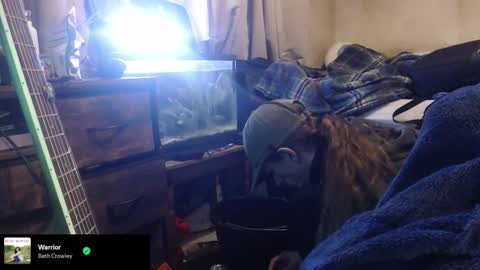 Snapshot of trooper0690 chatting on February 12, 2026, 6:14 pm trooper0690 online show from February 12, 2026, 6:14 pm