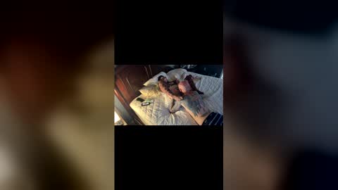 Snapshot of tslizzy0084 chatting on March 29, 2026, 5:18 am tslizzy0084 online show from March 29, 2026, 5:18 am