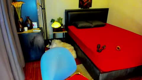 Kylee-  will make your  day  online show from May 13, 2026, 6:11 am