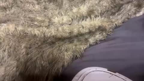 turntpixie online show from March 7, 2026, 4:31 am