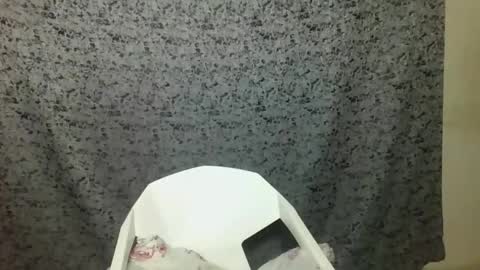 Snapshot of twerker_lyly chatting on October 7, 2025, 7:00 pm twerker_lyly online show from October 7, 2025, 7:00 pm