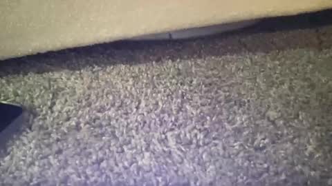 Snapshot of twinkgabe chatting on February 16, 2026, 4:03 pm twinkgabe online show from February 16, 2026, 4:03 pm