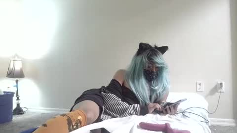 Snapshot of twinkyteddy chatting on October 6, 2025, 12:19 am twinkyteddy online show from October 6, 2025, 12:19 am
