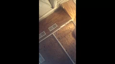 twistercouple3371 online show from March 10, 2026, 4:06 am