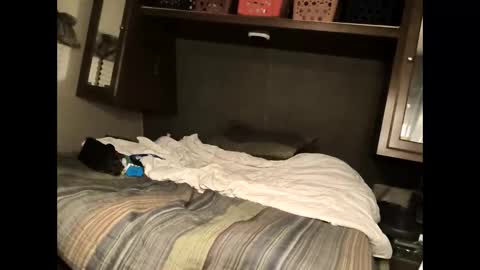 txspeedoboy1986 online show from September 9, 2025, 3:06 am