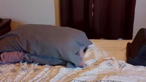 Blue Eyed Handsome Man online show from February 1, 2026, 8:29 pm