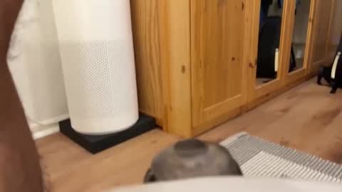 Snapshot of umberto2015 chatting on December 4, 2024, 5:33 pm Umberto2015 online show from December 4, 2024, 5:33 pm