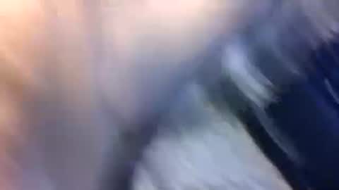 Snapshot of uncut7half237495 chatting on October 17, 2025, 3:42 am uncut7half237495 online show from October 17, 2025, 3:42 am