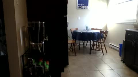 Buzz Bigcock online show from February 23, 2026, 8:28 pm