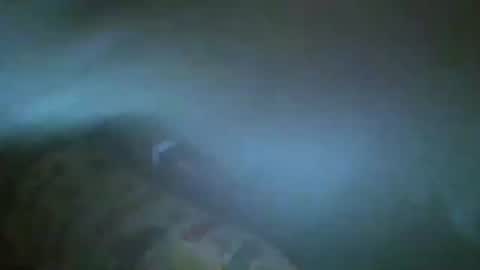 unicorn765vcxv online show from June 21, 2026, 1:41 am