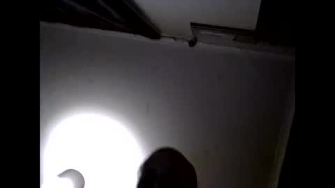 uplatenhorny2379 online show from September 27, 2025, 5:34 am