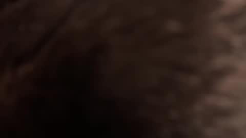 urmissalice online show from February 22, 2026, 3:21 pm