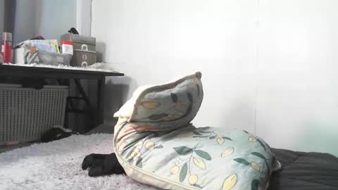 Rbabes online show from February 3, 2026, 9:03 am