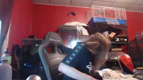 Snapshot of ustogetherliveee chatting on November 12, 2025, 6:03 am ustogetherliveee online show from November 12, 2025, 6:03 am