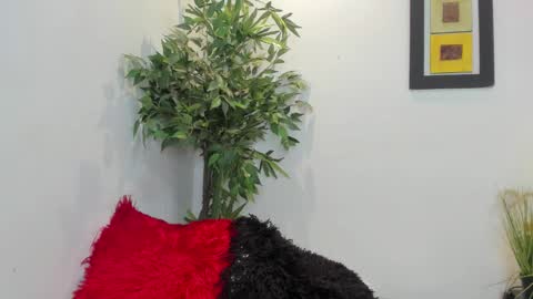 valeri_tafur online show from November 12, 2025, 12:33 am