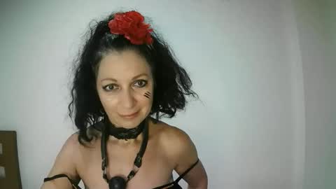 ValleriWind online show from November 18, 2025, 12:27 am