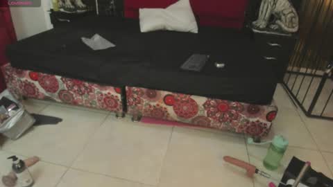 Snapshot of vanessahard_as chatting on March 11, 2026, 3:23 am Vanessa Hard online show from March 11, 2026, 3:23 am