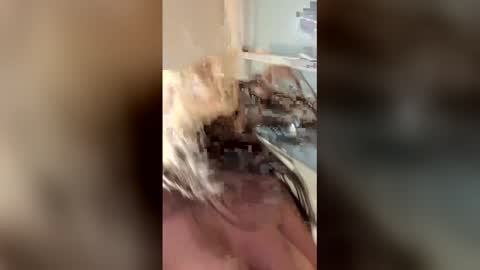 vanessareed_ online show from May 4, 2026, 9:33 pm