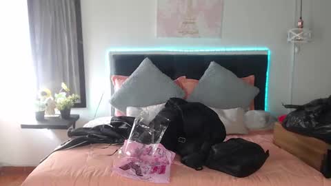 Snapshot of vannesweet_ chatting on January 9, 2025, 7:40 pm vane online show from January 9, 2025, 7:40 pm