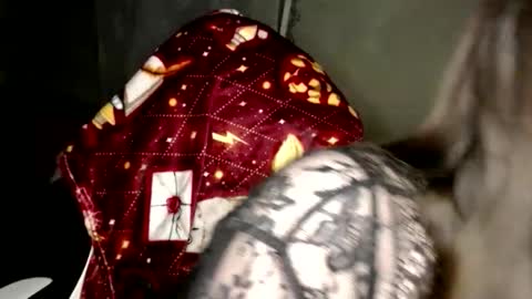 Var Kiss online show from February 14, 2026, 3:20 pm