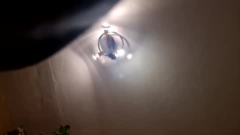 vedierko3 online show from December 31, 2024, 2:08 am