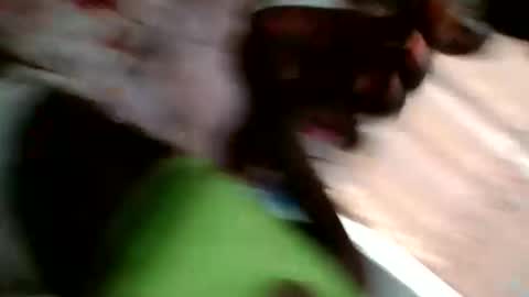 faisar online show from December 19, 2025, 8:43 am