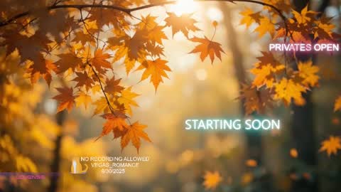 vegas_romance online show from October 1, 2025, 2:06 am