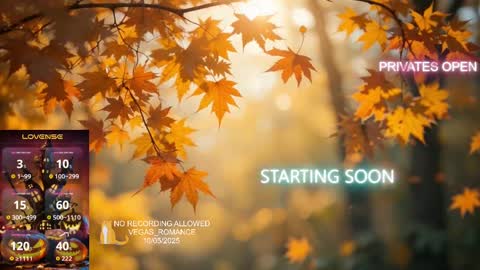 vegas_romance online show from October 6, 2025, 12:19 am