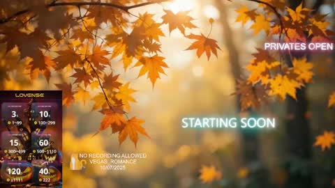 vegas_romance online show from October 8, 2025, 1:36 am