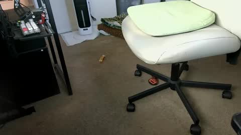 vegasnightowl online show from October 7, 2025, 2:36 pm