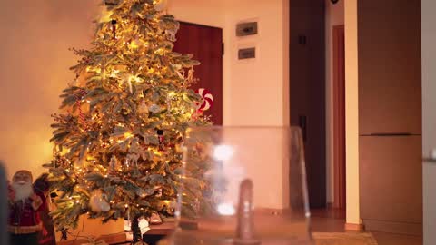 Adalline online show from December 5, 2024, 1:17 pm