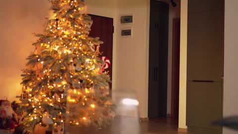 Adalline online show from December 10, 2024, 7:54 pm