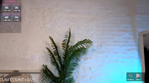 Snapshot of velvetvalkyries chatting on February 4, 2025, 5:45 pm CLEOshort hair TIna long hair online show from February 4, 2025, 5:45 pm