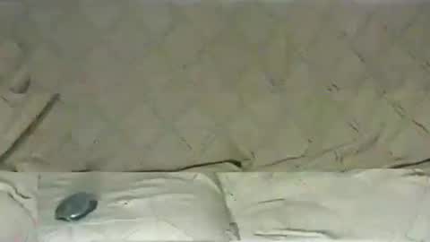 ventura50 online show from March 6, 2025, 8:30 am