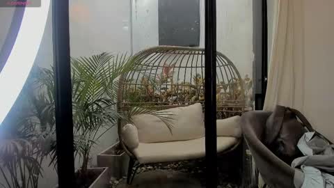 VENUS online show from January 11, 2026, 2:22 pm