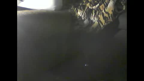 Im DanielVerdo  25 years old Lets have Fun and just ask what wanne know   tnew anal bigock cum  slave  fullnaked online show from December 20, 2024, 2:52 am