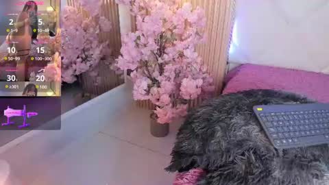veronica_hill_ online show from June 18, 2026, 3:18 am