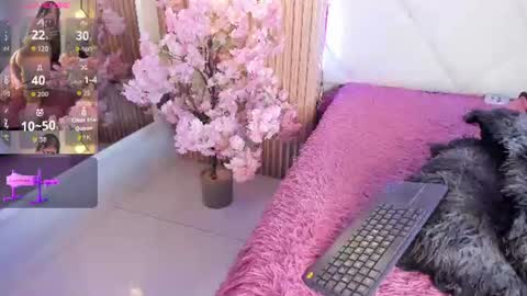 veronica_hill_ online show from June 24, 2026, 3:05 am