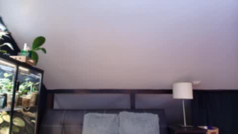 vevelicious online show from May 2, 2026, 6:24 pm