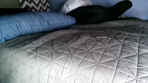 Vexnew online show from November 2, 2025, 8:00 pm