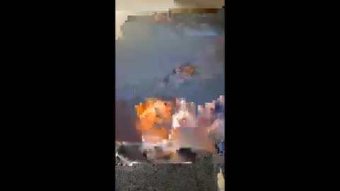 vhornynige69 online show from January 9, 2026, 3:09 am