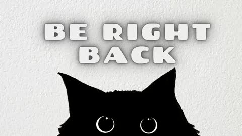 Anaya online show from February 13, 2026, 11:50 am