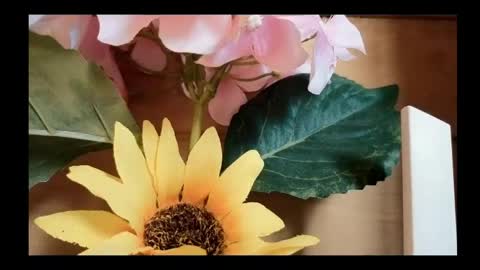 vickyvalencia2 online show from May 4, 2026, 2:02 pm