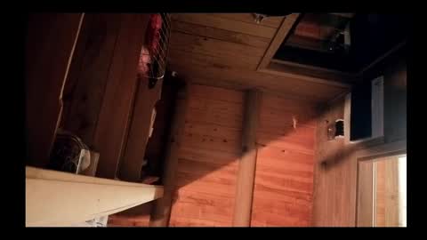 vickyvalencia2 online show from May 12, 2026, 3:03 am
