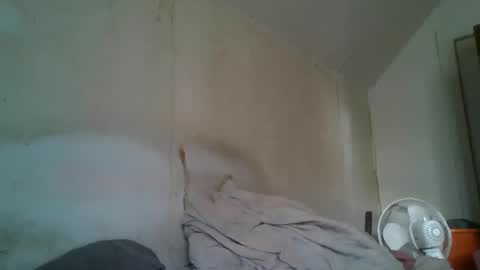 vids1977 online show from December 29, 2024, 4:51 pm